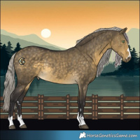 Horse Color:Silver Buckskin Dun Rabicano 