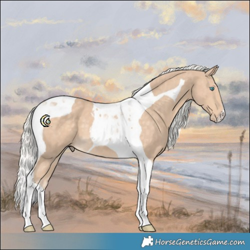 Horse Color:Silver Perlino Tobiano 