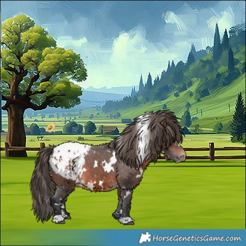 Horse Color:White Spotted Brown Appaloosa 