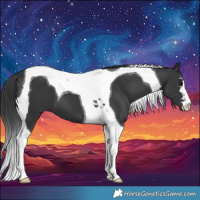 Horse Color:Black Tobiano