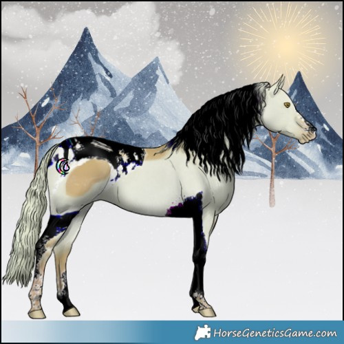 Horse Color:ERROR: UNKNOWN ANOMALY