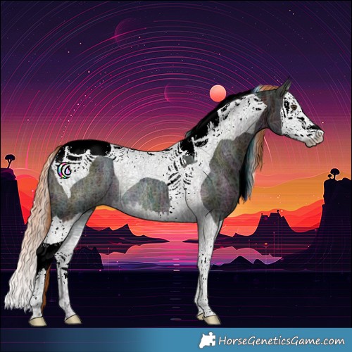 Horse Color:Midnight Chestnut Ice Splash Tobiano Rabicano 