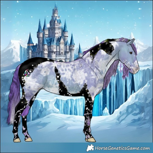 Horse Color:Watercolor Bay Ice Dun Tobiano Appaloosa 