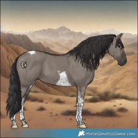 Horse Color:White Spotted Smoky Grullo Tobiano