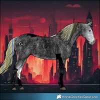 Horse Color:Void Painted Palomino Chinchilla Roan Tobiano 