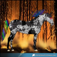 Horse Color:Void Painted Smoky Black Ice Tobiano