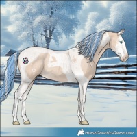 Horse Color:Painted Silver Smoky Creme Splash Tobiano