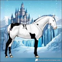 Horse Color:Void Painted Cremello Chinchilla Tobiano 