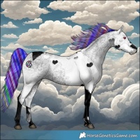 Horse Color:Void Painted Palomino Chinchilla Ice Tobiano