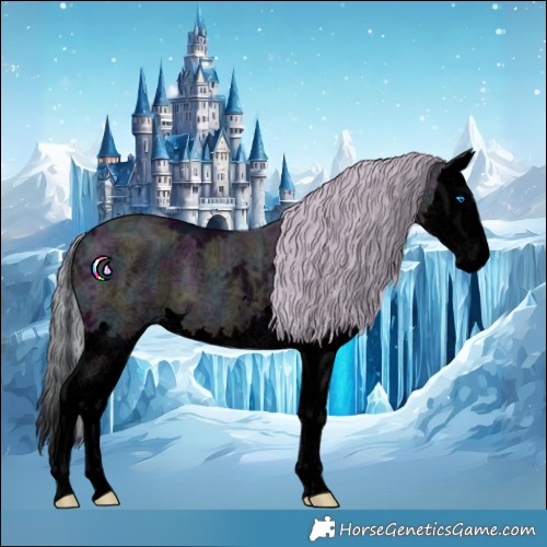 Horse Color:Void Midnight Silver Black Ice Splash 