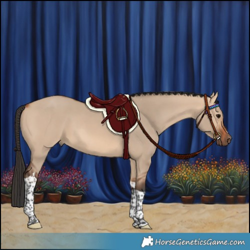 Horse Color:Bay Dun Tobiano 