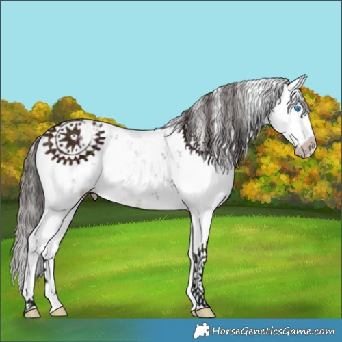 Horse Color:Midnight Bay Sabino Splash Appaloosa
