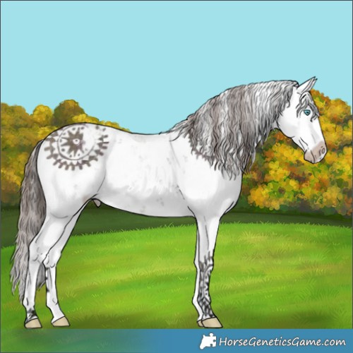 Horse Color:Midnight Bay Sabino Splash Varnish 