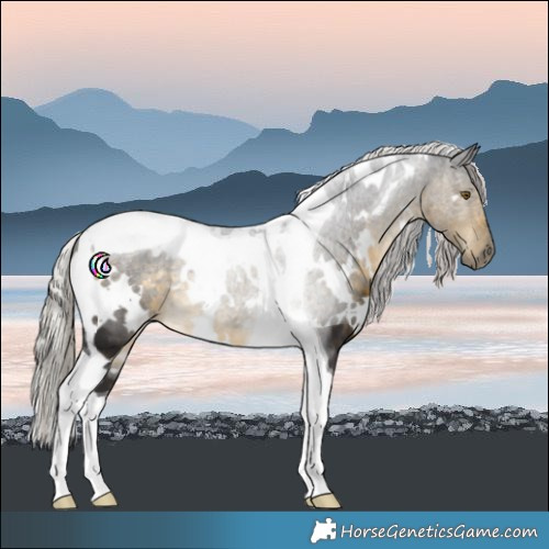 Horse Color:White Spotted Silver Buckskin Tobiano 