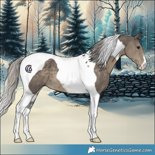Horse Color:Silver Smoky Grullo Tobiano 