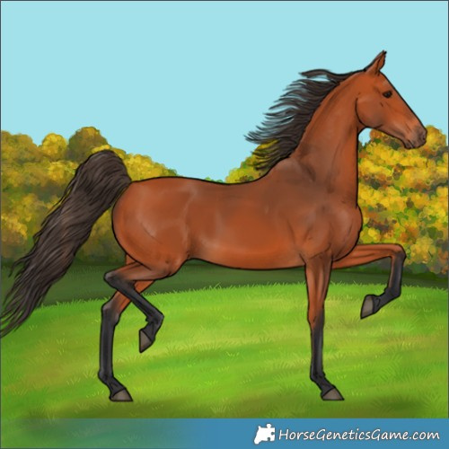 SH 21013141 | HorseGeneticsGame.com