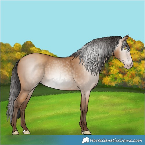 Horse Color:Gray Amber Champagne 