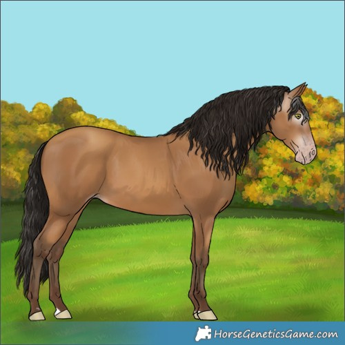 Horse Color:Gray Amber Champagne 