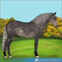 Horse Color:Void Silver Smoky Black 