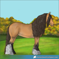 Horse Color:Buckskin Tobiano 