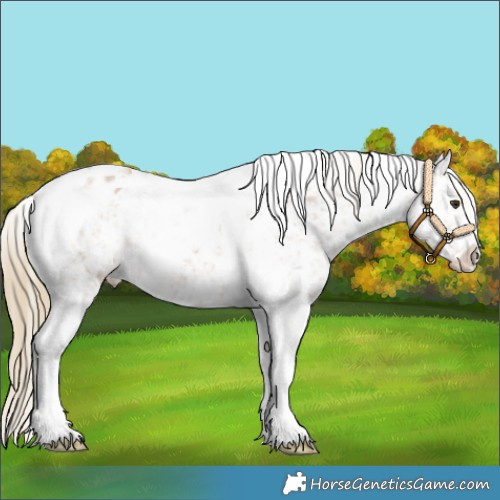 Horse Color:Red Dun Tobiano Snowflake Varnish 