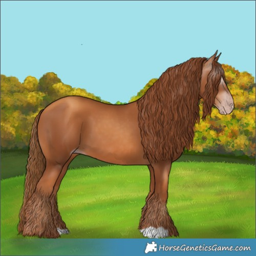 Horse Color:Gray Gold Champagne 