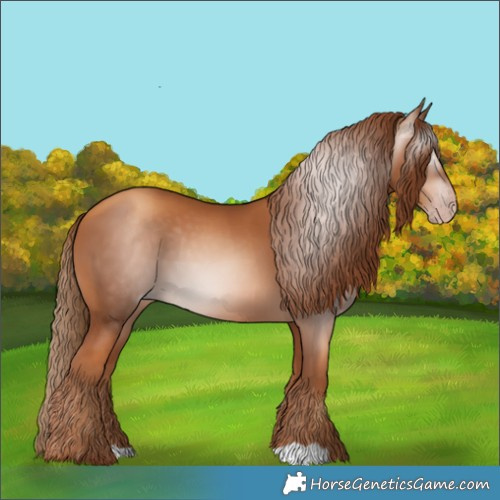 Horse Color:Gray Gold Champagne 