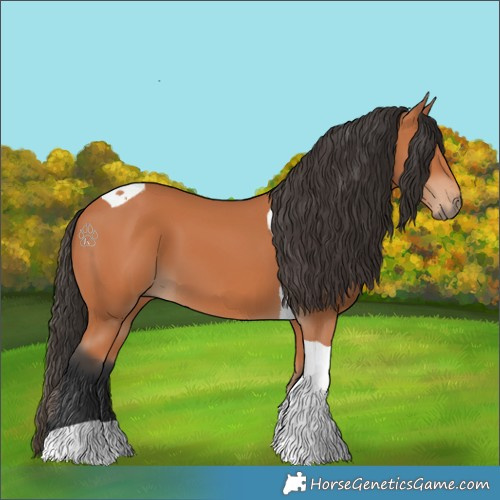 Horse Color:Bay Tobiano 