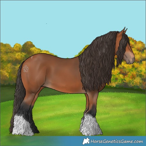 Horse Color:Bay Tobiano