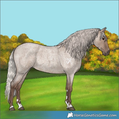 Horse Color:Silver Grullo Roan Rabicano 