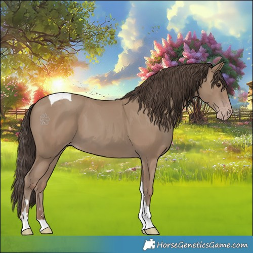 Horse Color:Classic Champagne Tobiano