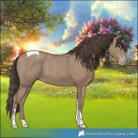 Horse Color:Classic Champagne Tobiano 