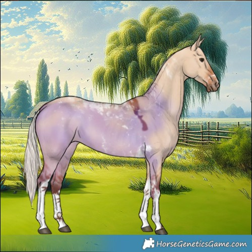 Horse Color:White Spotted Silver Bay Dun Tobiano 