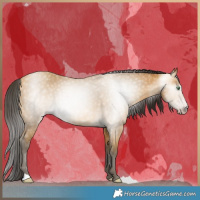 Horse Color:Gray Amber Cream Champagne 