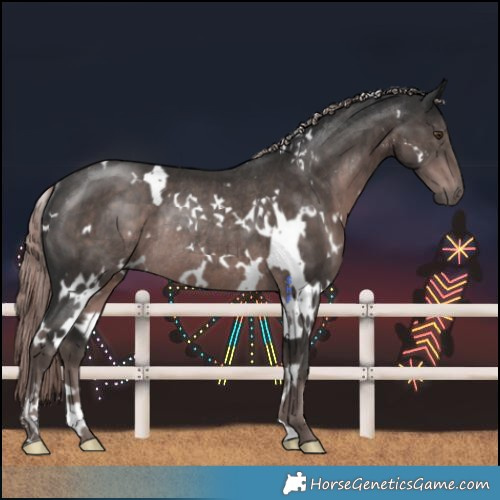 Horse Color:Platinum White Spotted Liver Chestnut Rabicano 