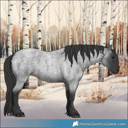 Horse Color:Blue Roan 