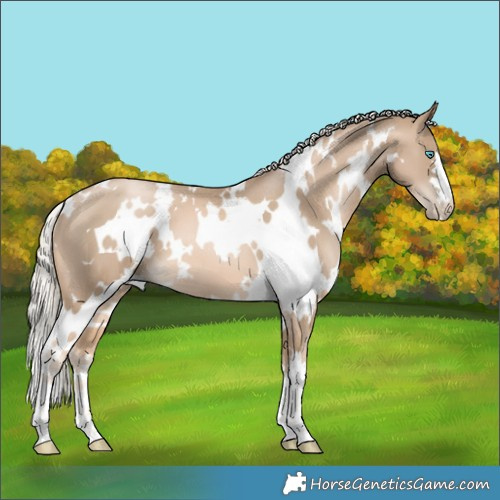 Horse Color:White Spotted Chocolate Palomino Pearl 