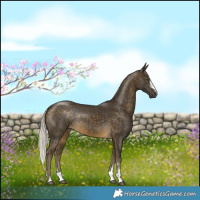 Horse Color:Silver Buckskin 