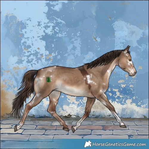 Horse Color:White Spotted Liver Red Dun Tobiano Rabicano 