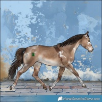 Horse Color:White Spotted Liver Red Dun Tobiano Rabicano 