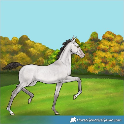 Horse Color:Platinum Amber Champagne Dun 