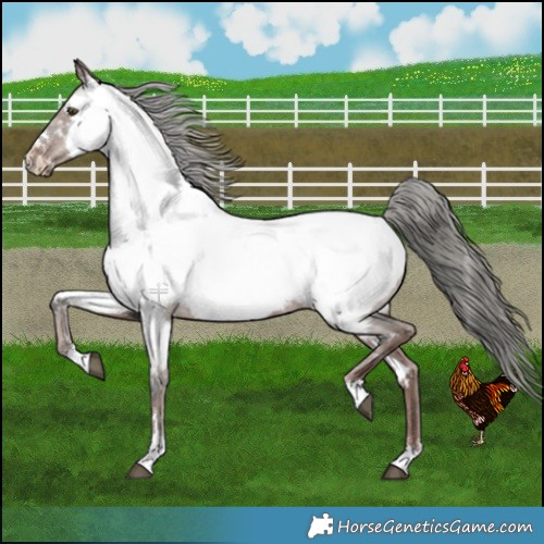 Horse Color:Liver Red Dun Mushroom Near Fewspot 