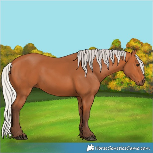 Horse Color:Silver Bay 