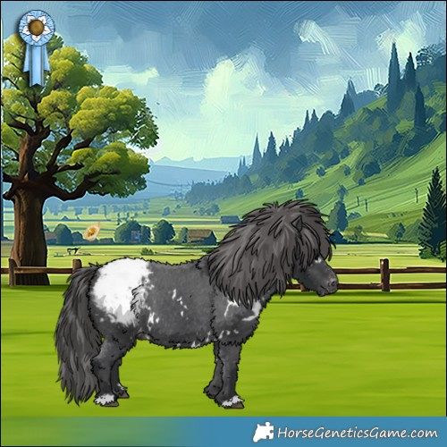 Horse Color:White Spotted Black Appaloosa 