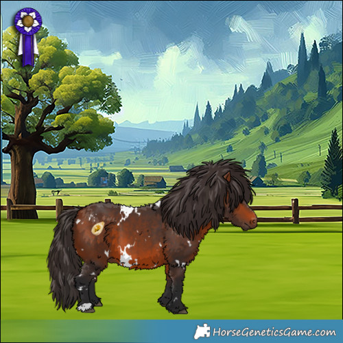 Horse Color:White Spotted Bay 