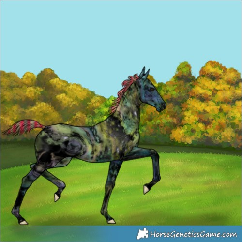 Horse Color:ERROR: UNKNOWN ANOMALY