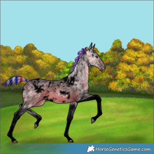 Horse Color:Void Painted Watercolor White Spotted Silver Brown Ice Tobiano Rabicano 