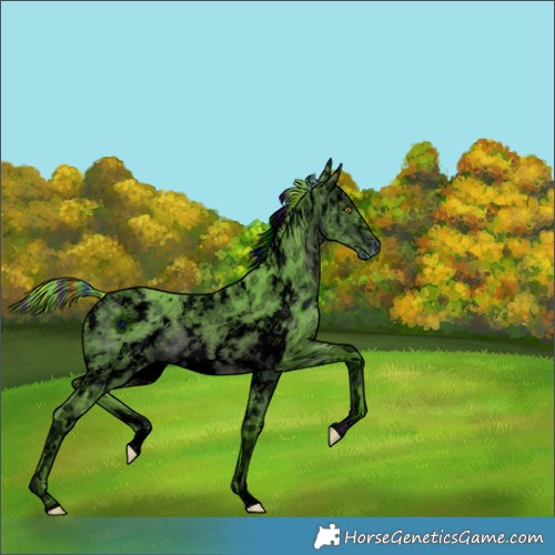 Horse Color:ERROR: UNKNOWN ANOMALY