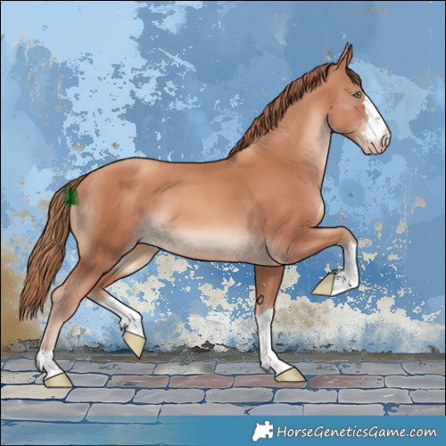 Horse Color:Gold Champagne 