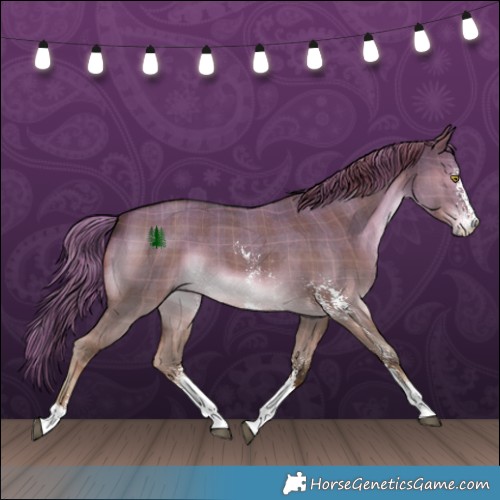 Horse Color:Plaid Liver Red Dun Sabino